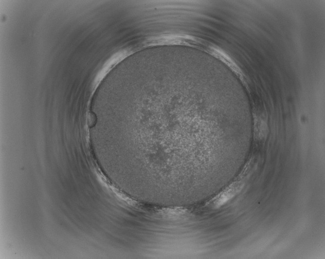 X0000069830994200605221202