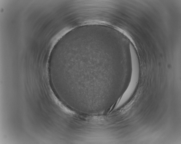 X0000069830995200605221202