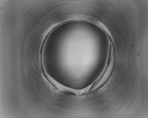 X0000069830996200605221202