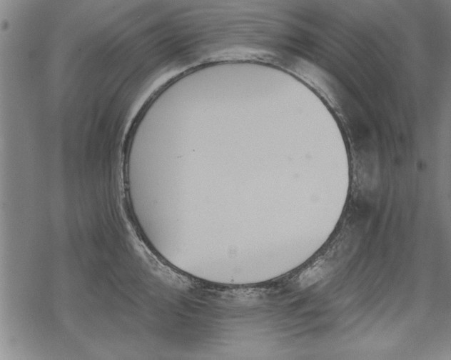 X0000069831000200605221202