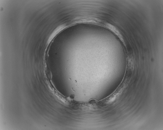 X0000069831002200605221202