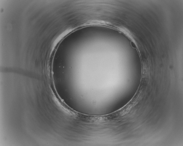 X0000069831003200605221202