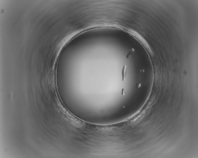 X0000069831004200605221202