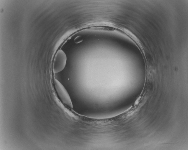 X0000069831005200605221202