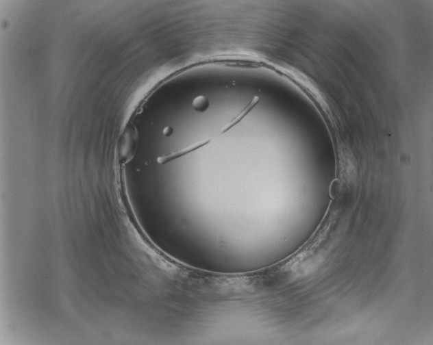 X0000069831006200605221202