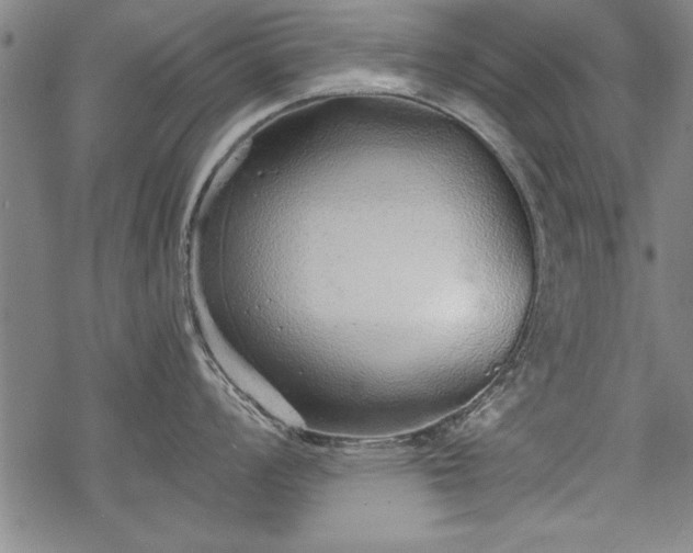 X0000069831008200605221202