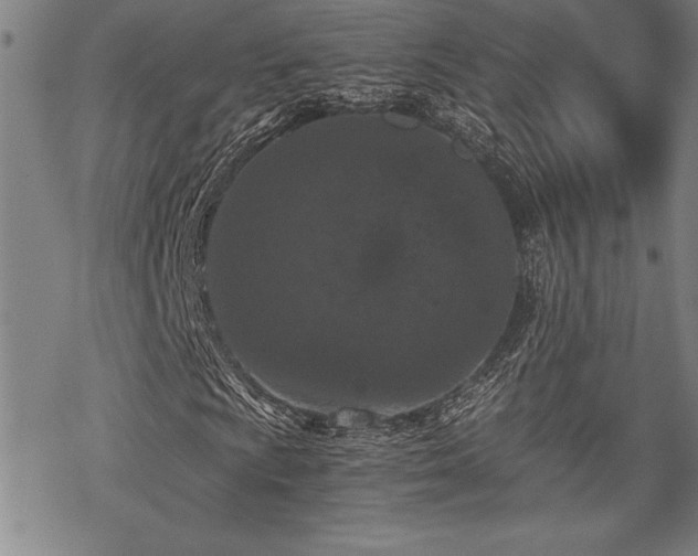 X0000069831009200605221201