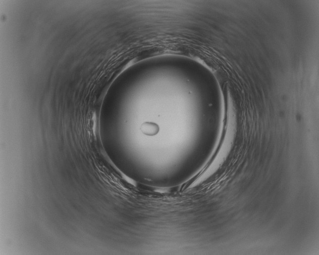 X0000069831010200605221201