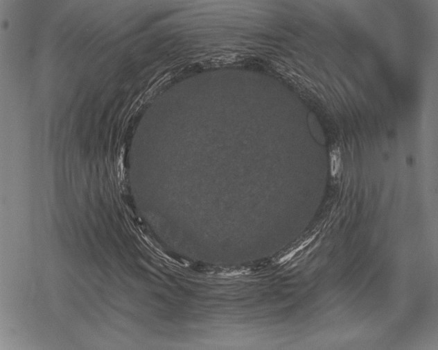 X0000069831011200605221201