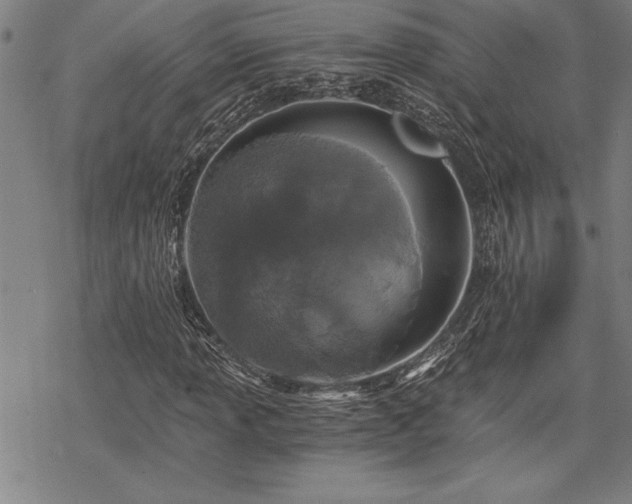 X0000069831013200605221201