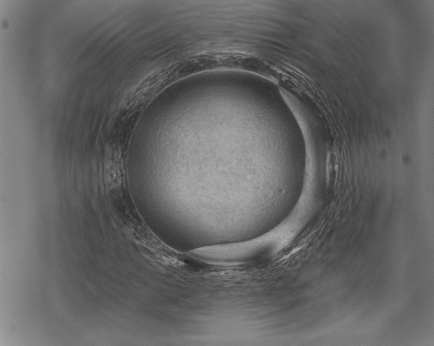 X0000069831014200605221201