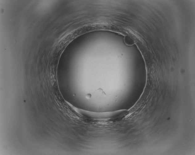 X0000069831015200605221201