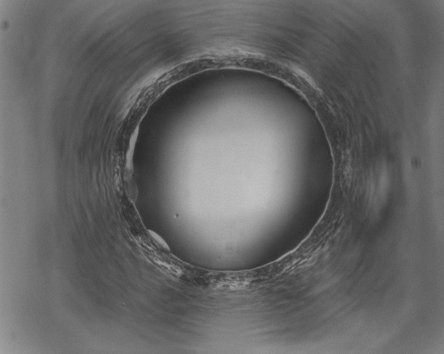 X0000069831016200605221201