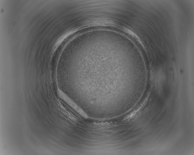 X0000069831019200605221201