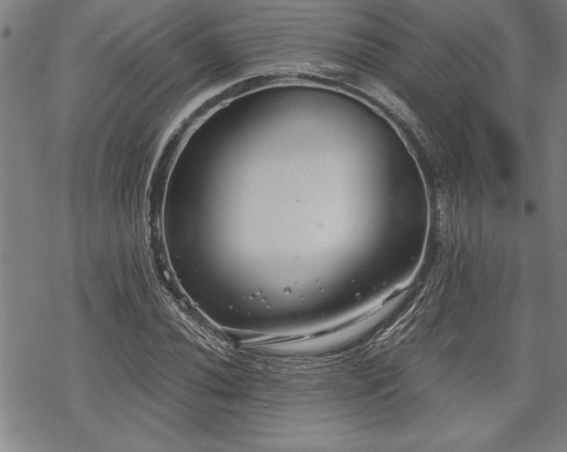 X0000069831020200605221201