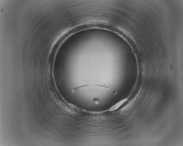 X0000069831021200605221201