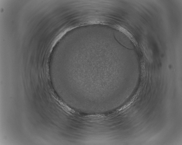 X0000069831023200605221201