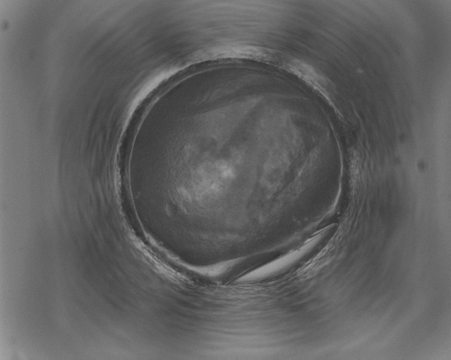 X0000069831024200605221201