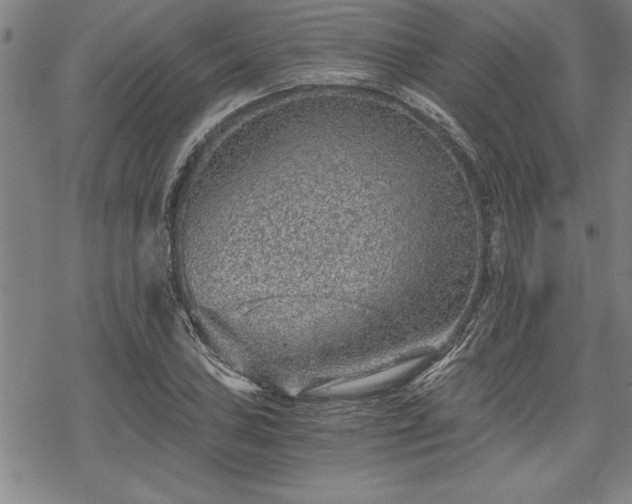 X0000069831027200605221202