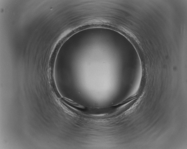 X0000069831029200605221202