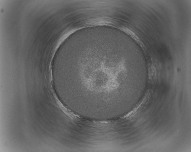 X0000069831031200605221202