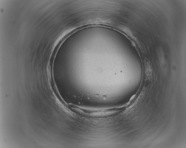 X0000069831032200605221202