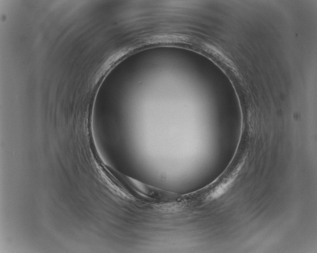 X0000069831033200605221202