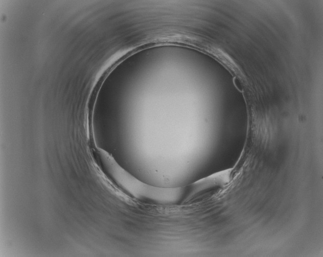 X0000069831036200605221202