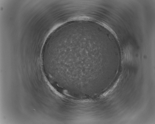 X0000069831037200605221202