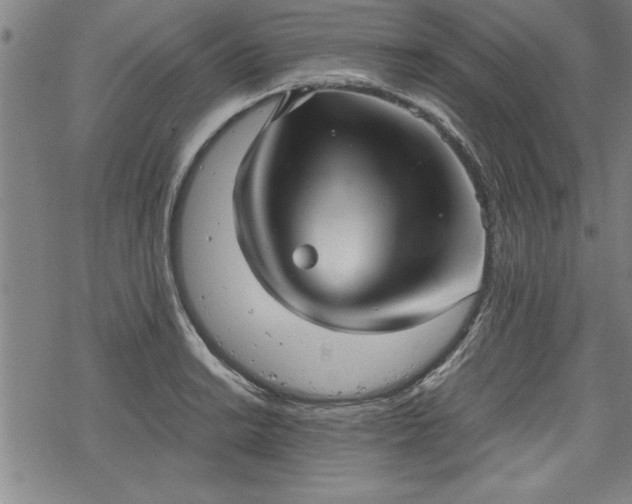 X0000069831038200605221202