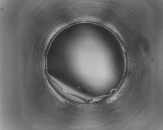 X0000069831040200605221202