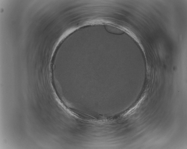 X0000069831045200605221202