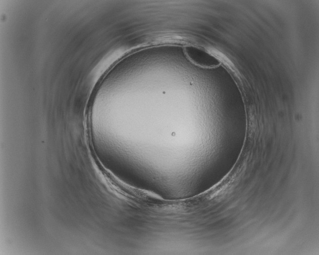 X0000069831047200605221202