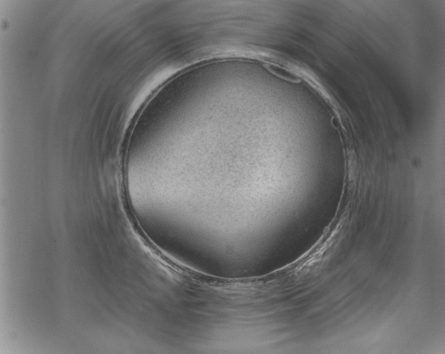 X0000069831048200605221202