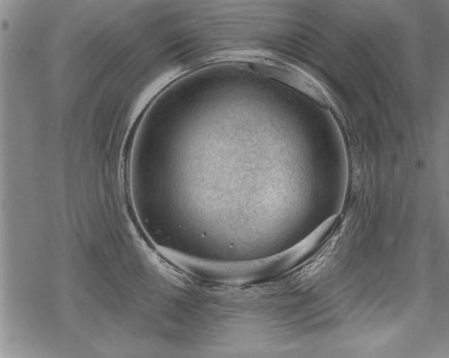 X0000069831050200605221202