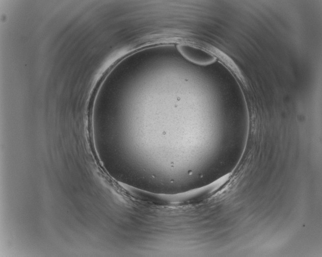 X0000069831051200605221202