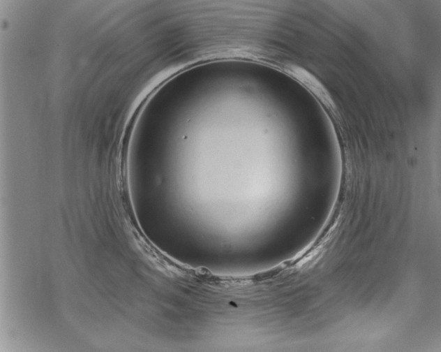 X0000069831052200605221202