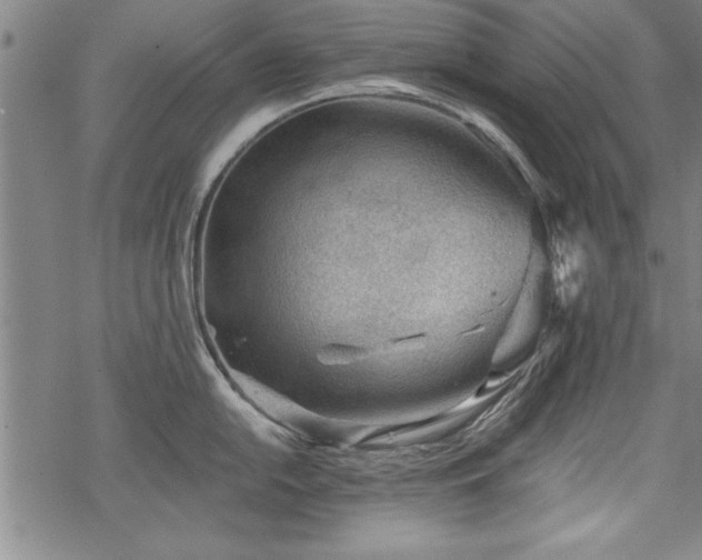 X0000069831054200605221202