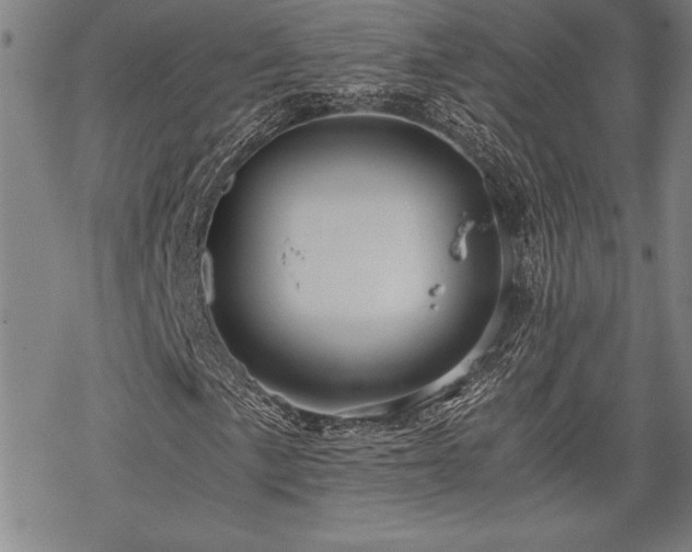 X0000069831057200605221201