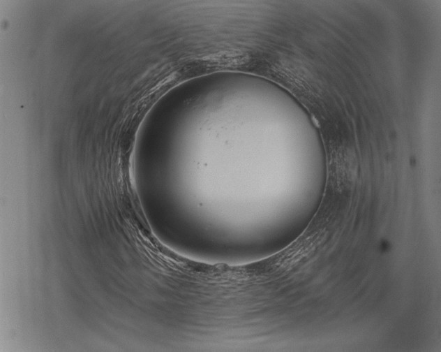 X0000069831058200605221201