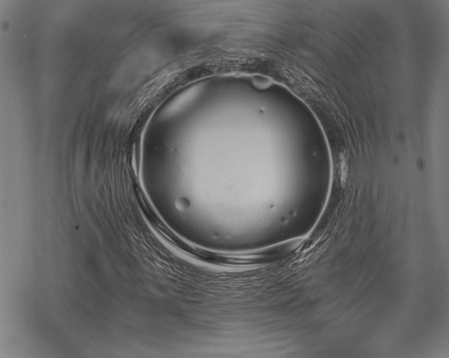 X0000069831059200605221201