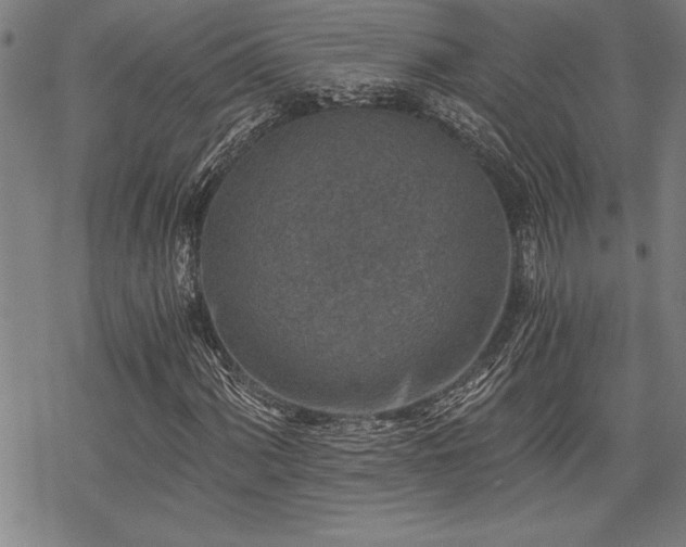 X0000069831060200605221201