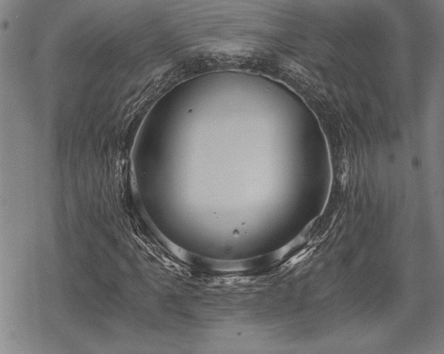 X0000069831061200605221201