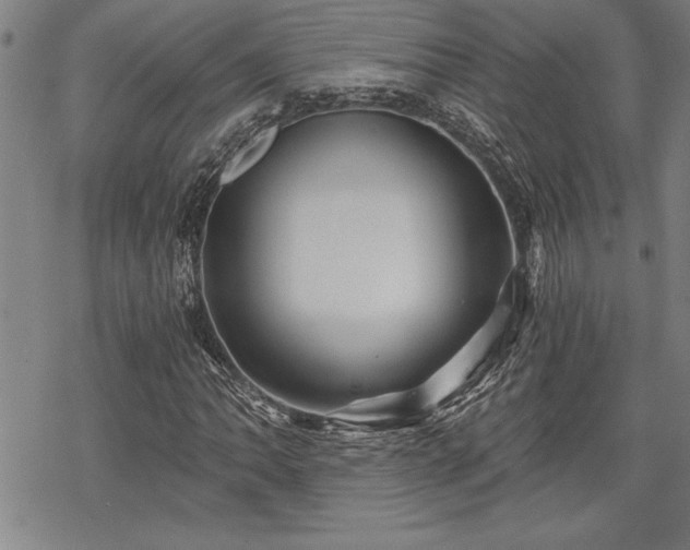 X0000069831062200605221201