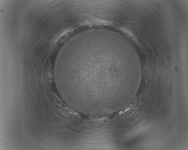 X0000069831063200605221201