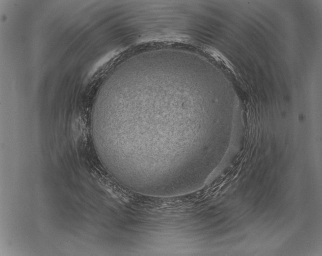 X0000069831064200605221201