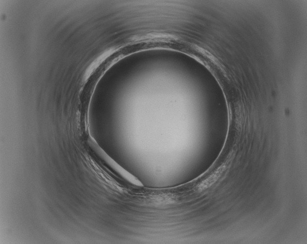 X0000069831066200605221201