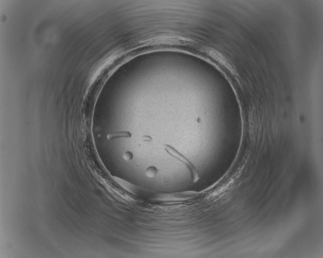 X0000069831067200605221201