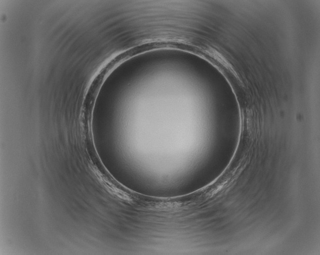 X0000069831068200605221201