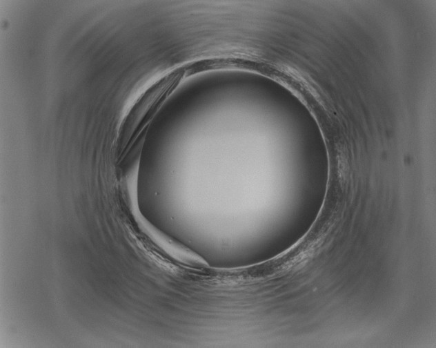 X0000069831069200605221201